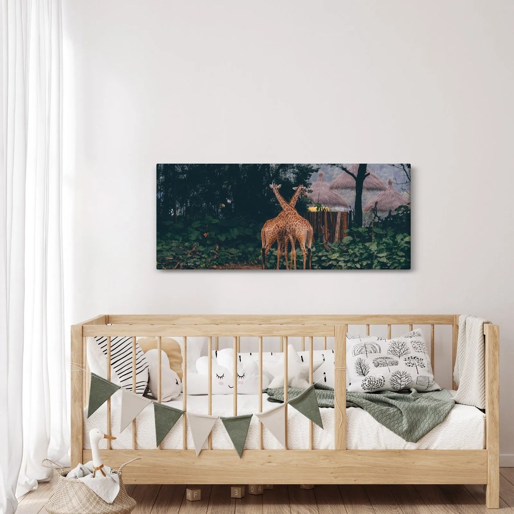 Obraz dvoch žiráf (120x50 cm)