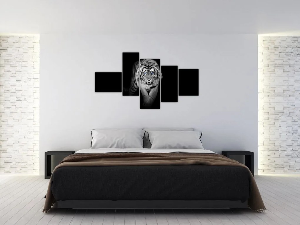 Čiernobiely lev - obraz