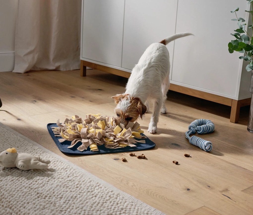 Hračka pre psy na ťahanie a trhanie