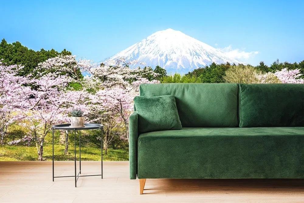 Fototapeta sopka Fuji - 225x150
