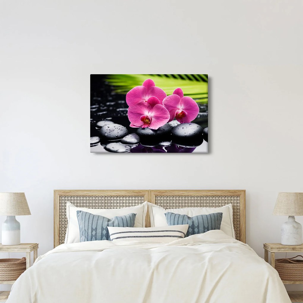 Obraz - Ružové orchidey s palmovým listom (90x60 cm)