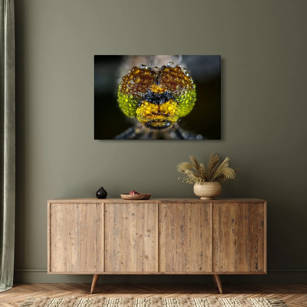 Detailný obraz očí hmyzu (90x60 cm)