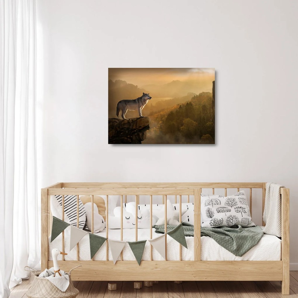 Sklenený obraz vlka na skale (70x50 cm)