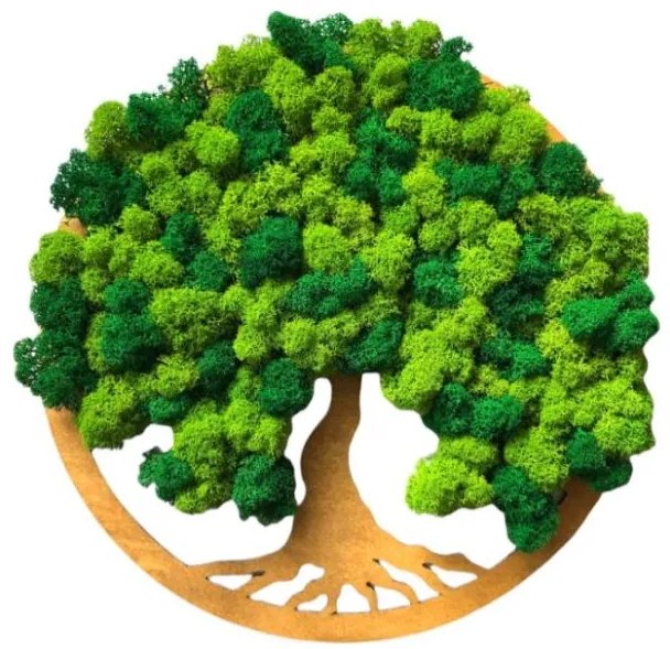 Strom na stenu z machu Caliroe 30 cm