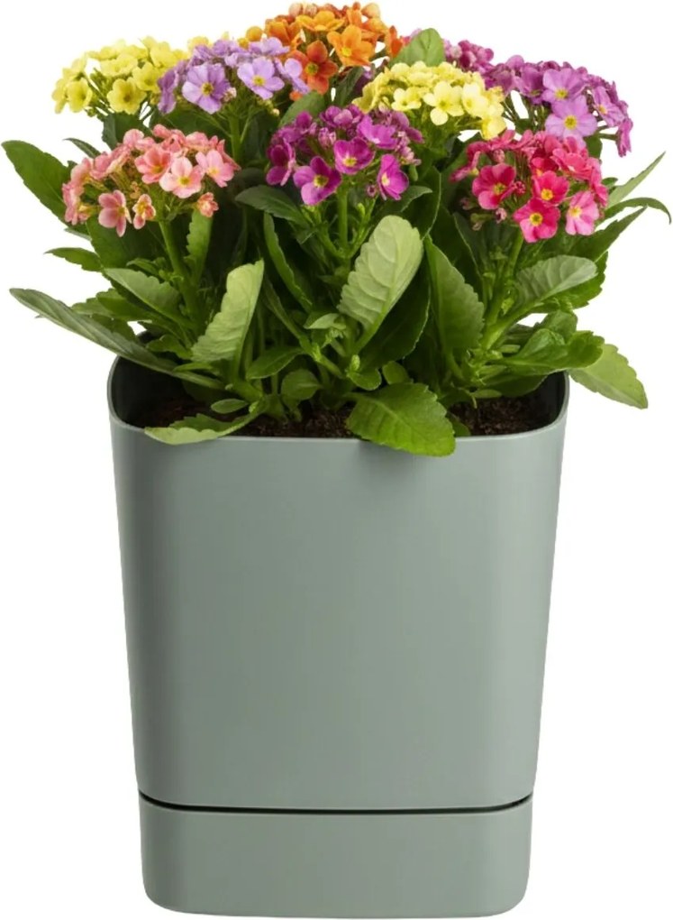 PLASTOVÝ KVETINÁČ CUBI 25X27,5 CM MÄTOVÁ