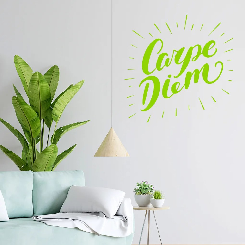 Veselá Stena Samolepka Carpe Diem (Užívaj dňa) Farba: šedá, Veľkosť: 100 x 100 cm
