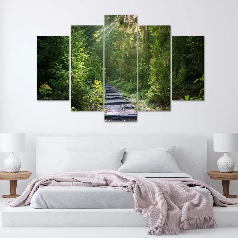 Obraz na plátně pětidílný Lesní příroda Zelená krajina - 200x100 cm