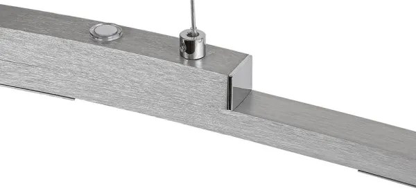 Rabalux 2957 - LED Stmievateľný luster na lanku EUCALYPTUS LED/20W/230V