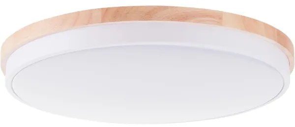 Brilliant - LED St. stropné svietidlo BAARLO LED/36W/230V pr. 50 cm biela + DO