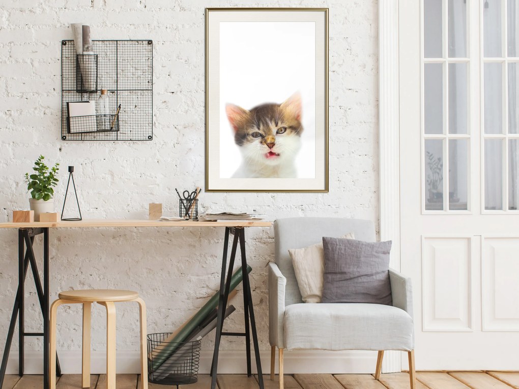 Artgeist Plagát - Vexed Cat [Poster] Veľkosť: 20x30, Verzia: Zlatý rám