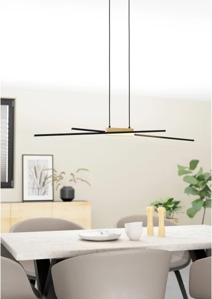 Eglo 900489 - LED Stmievateľný luster na lanku PANAGRIA 2xLED/13W/230V