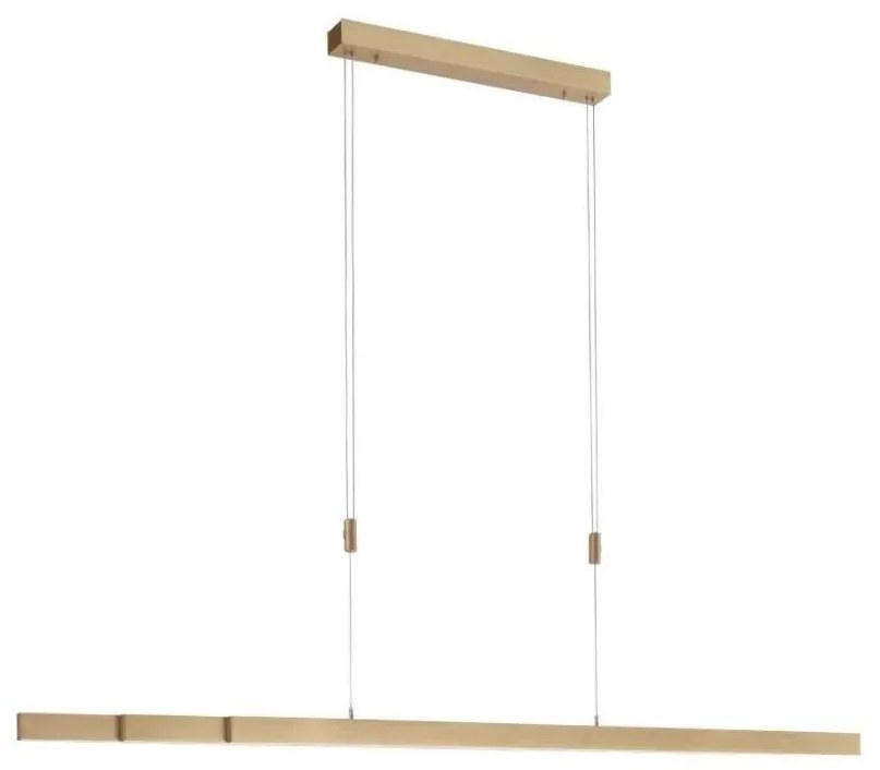 Paul Neuhaus 2568-60 - LED Stmievateľný luster na lanku ADRIANA LED/14W/230V mosadz