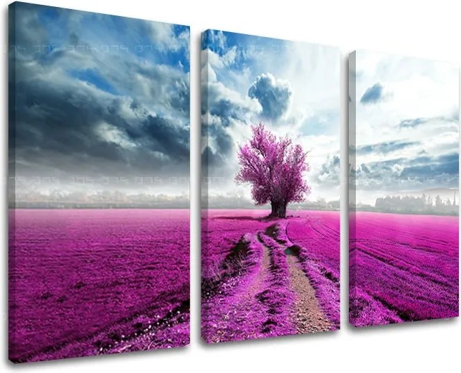 Obraz na stenu STROMY