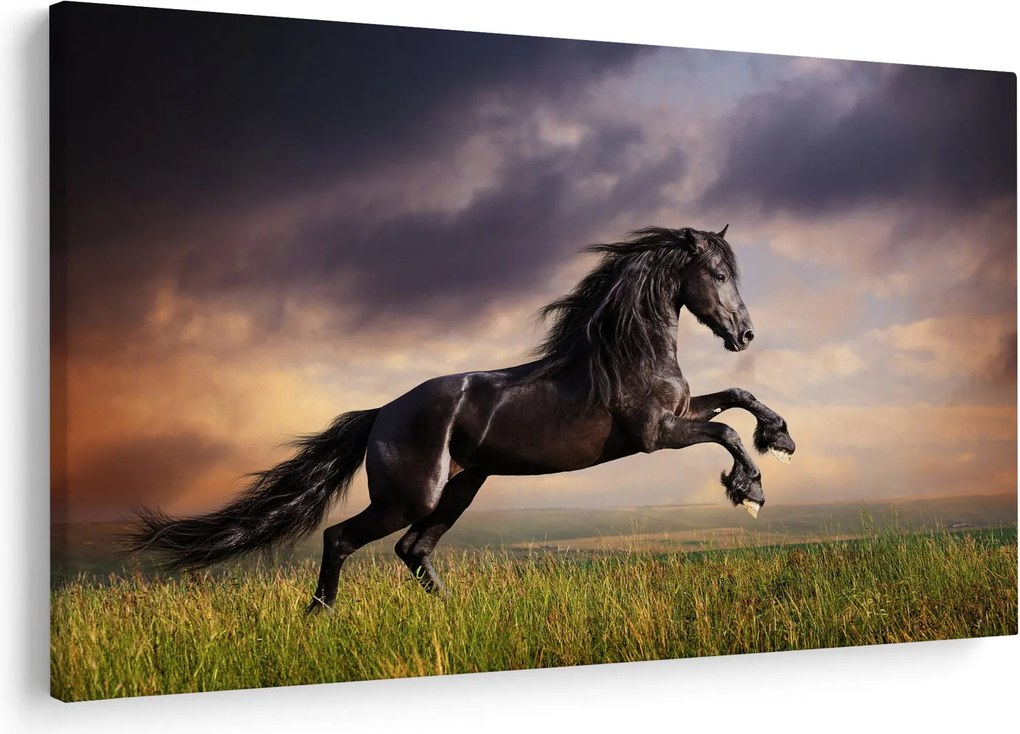 Obraz - Kone (90x60 cm)