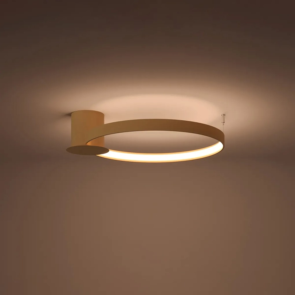 Stropné LED svietidlo Rio 55, 1x LED 30w, 3000k, g