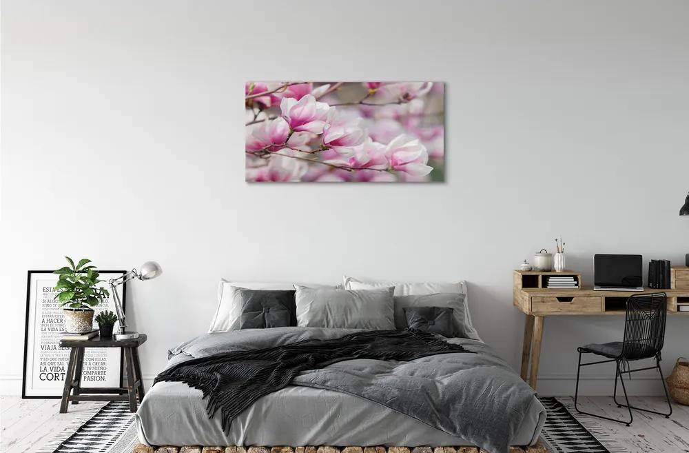 Obraz plexi Kvety 100x50 cm