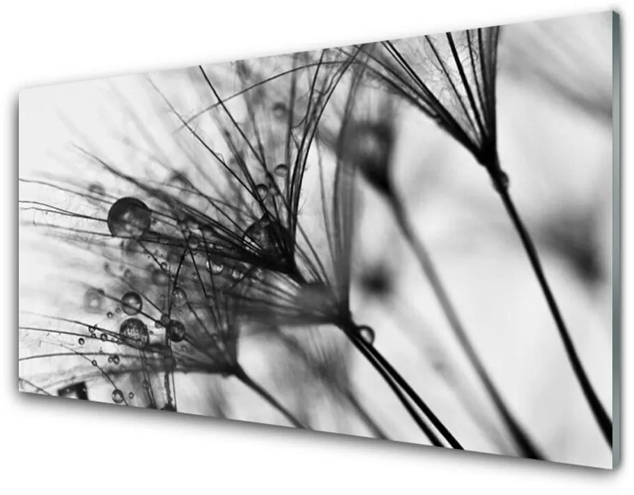 Nástenný panel  Abstrakcie rastlina 120x60 cm