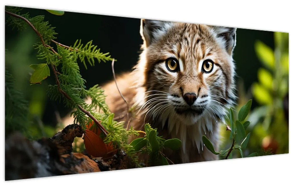 Obraz - Rys (120x50 cm)