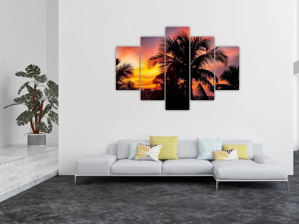 Obraz palmy na stenu