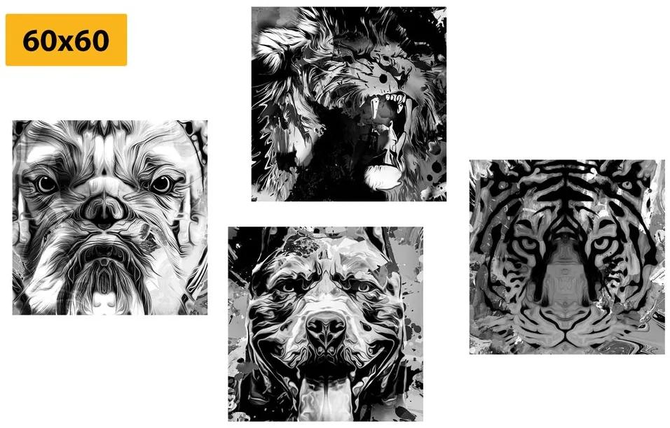 Set obrazov zvieratá v čiernobielom prevedení pop art štýlu Varianta: 4x 40x40