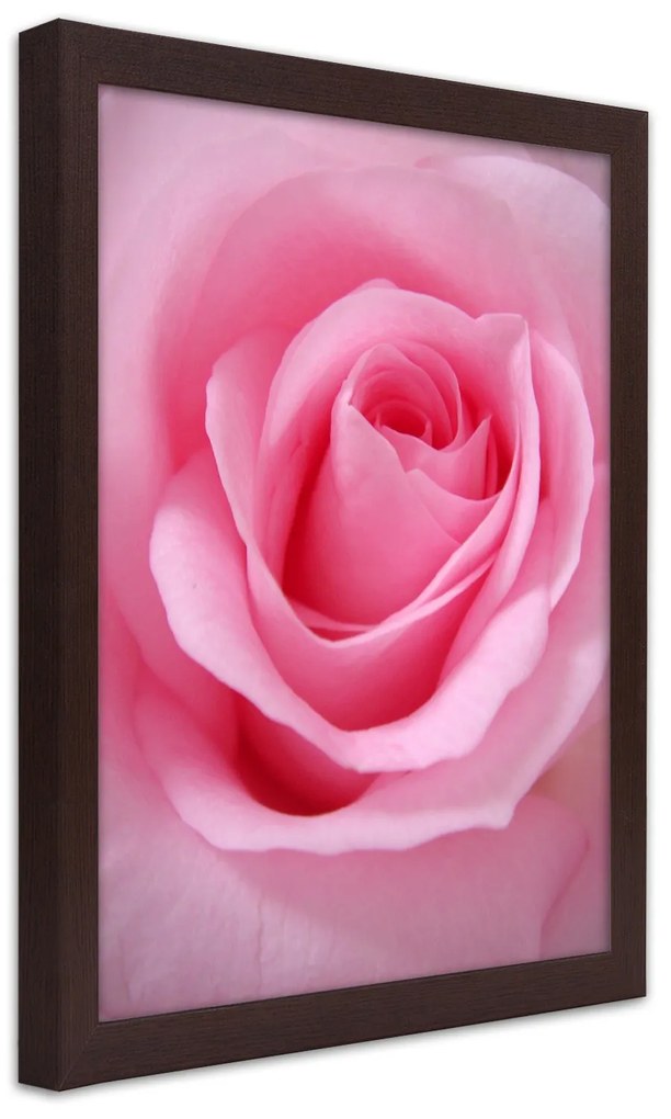 Gario Plagát Romantická ruža Farba rámu: Bez rámu, Rozmery: 30 x 45 cm