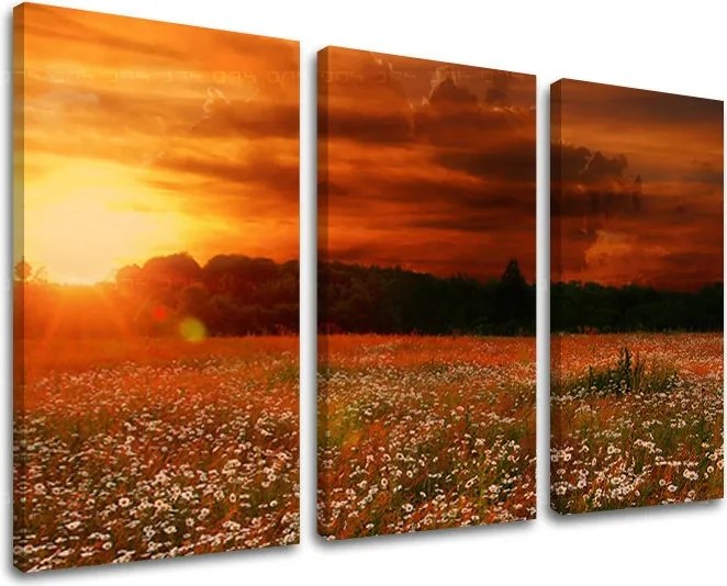 Obraz na stenu KRAJINA