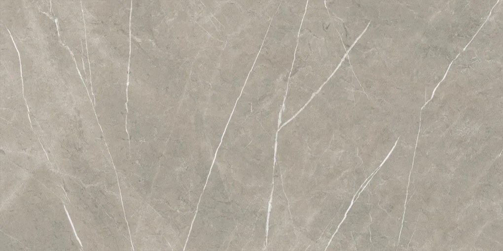 Dlažba Eternal Taupe Natural 80x160 R