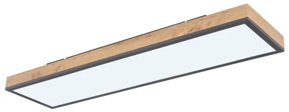 Globo 416080WD4-CCT - LED Stmievateľné stropné svietidlo DORO LED/24W/230V + DO