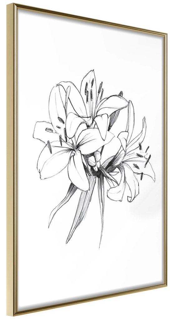 Artgeist Plagát - Drawn Flowers [Poster] Veľkosť: 20x30, Verzia: Zlatý rám s passe-partout