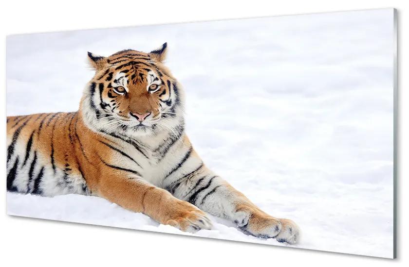 Nástenný panel  Tiger winter 125x50 cm