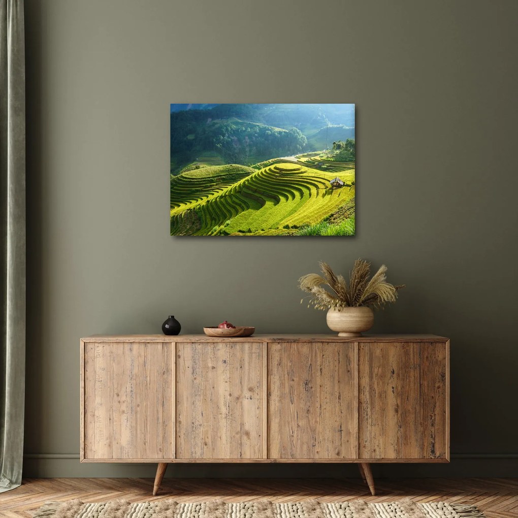 Obraz - Koncert ryžových terás (70x50 cm)