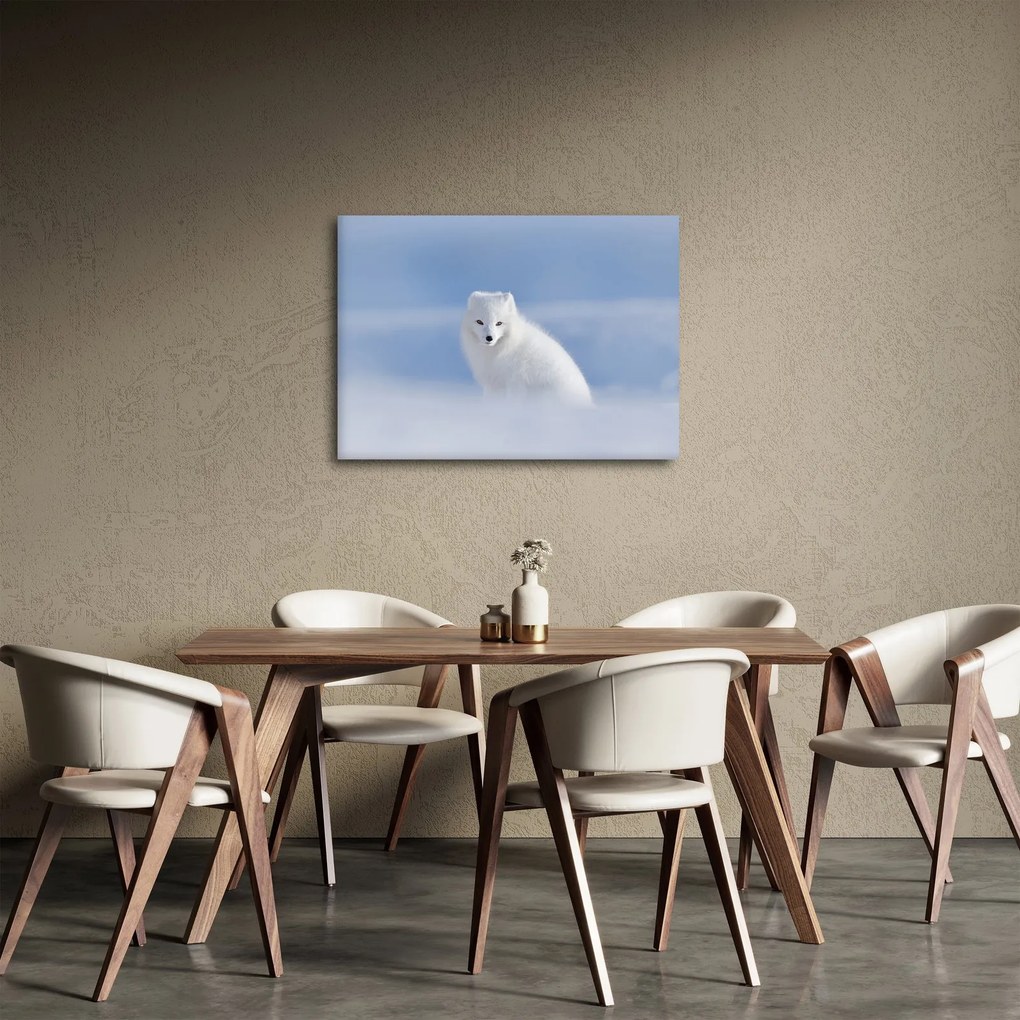 Obraz - Polárna líška (70x50 cm)