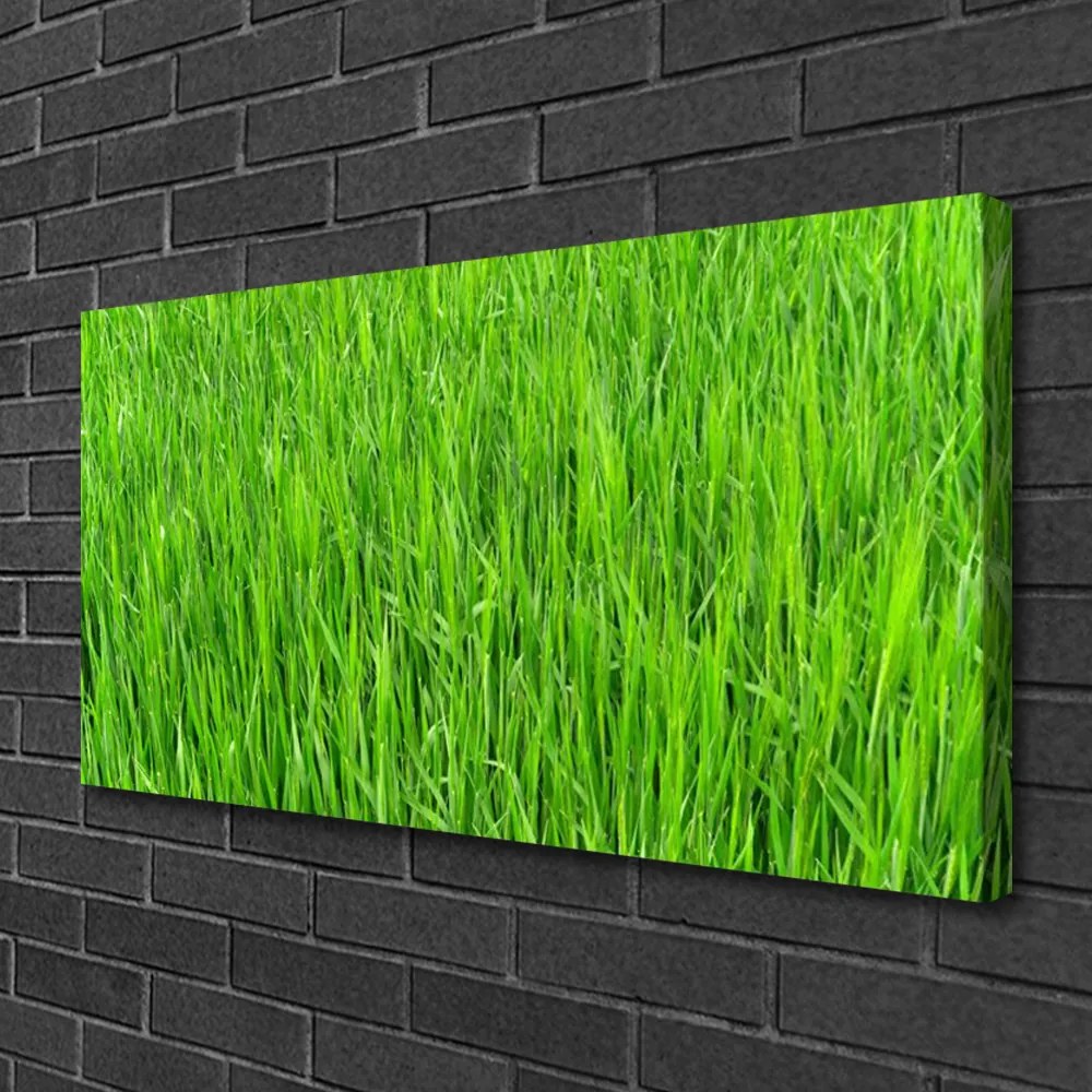 Obraz Canvas Zelená tráva príroda trávnik 120x60 cm