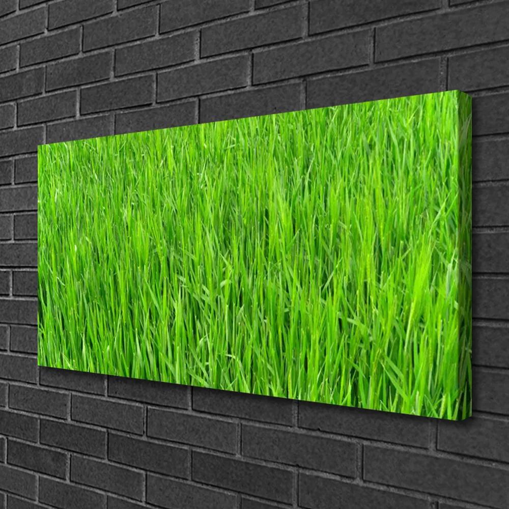 Obraz Canvas Zelená tráva príroda trávnik 125x50 cm