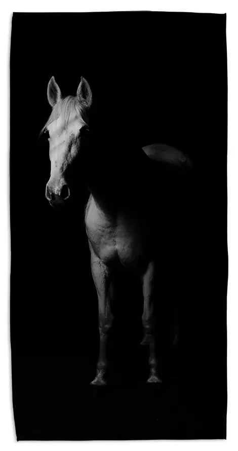 Sablio Uterák Kôň v tieni - 70x140 cm