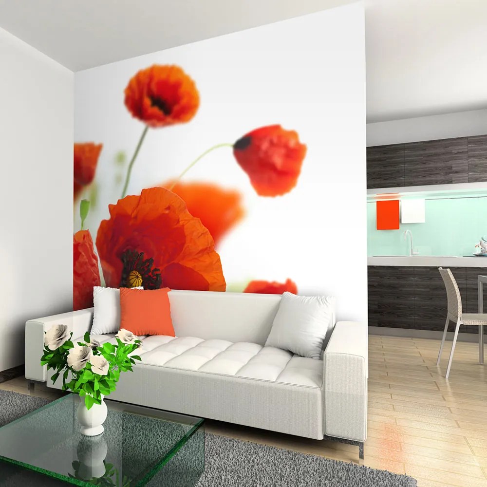 Bimago Fototapeta - Poppies on the wihite background 200x154 cm