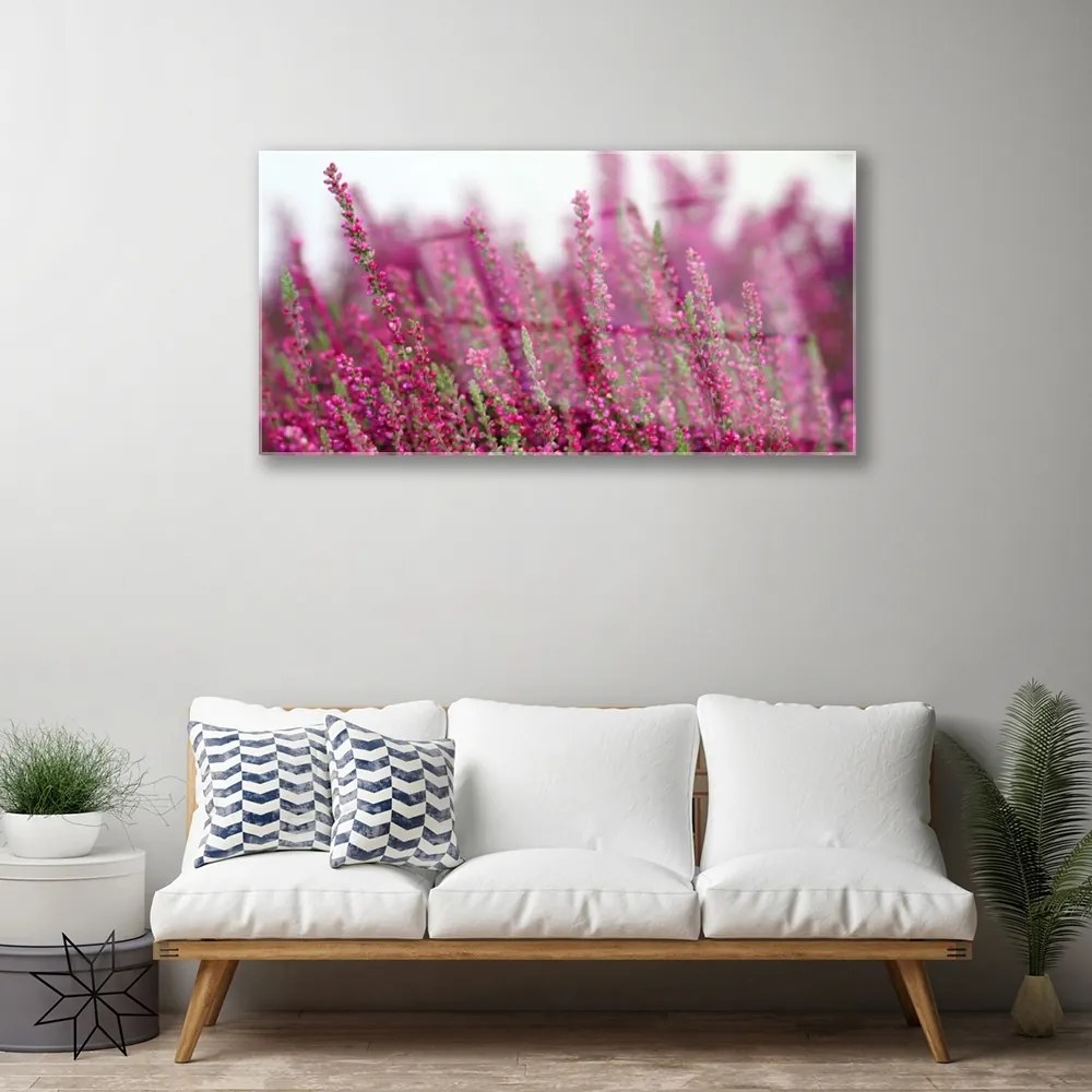 Skleneny obraz Kvety lúka príroda 120x60 cm