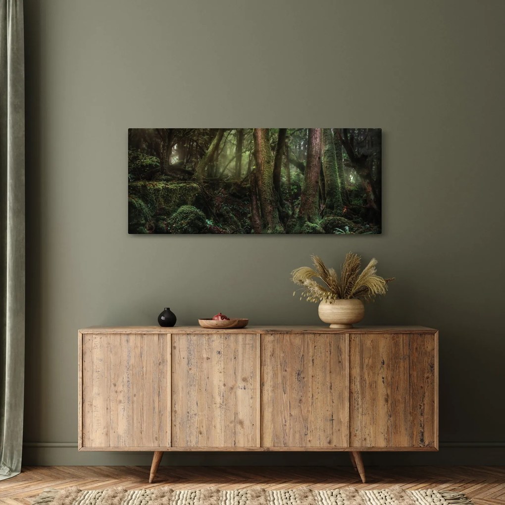 Obraz - Tajomný les (120x50 cm)