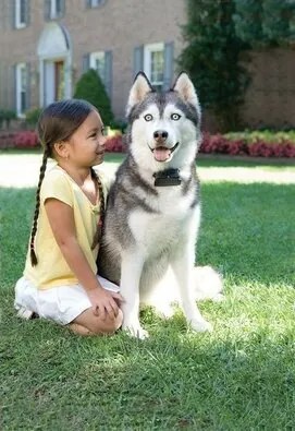 PetSafe® Elektrický ohradník pre psov Super