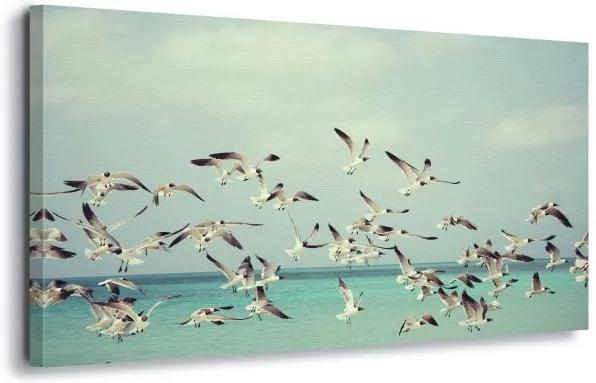 GLIX Obraz na plátne - Vintage Seagulls 60x40 cm
