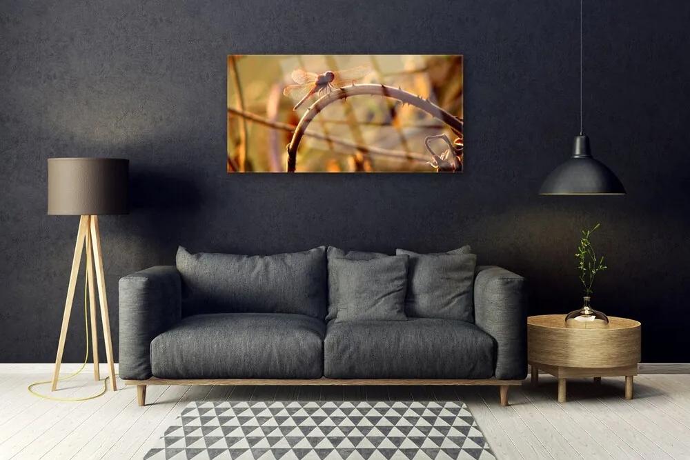 Obraz na skle Vážka príroda rastlina 120x60 cm