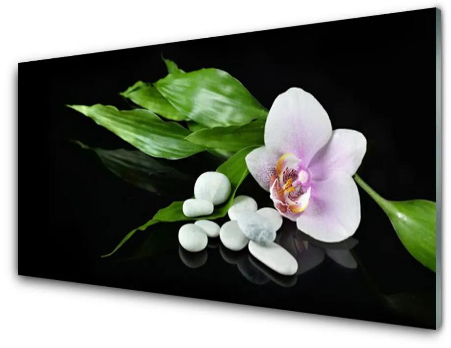 Obraz na skle Kvet kamene lístie 125x50 cm