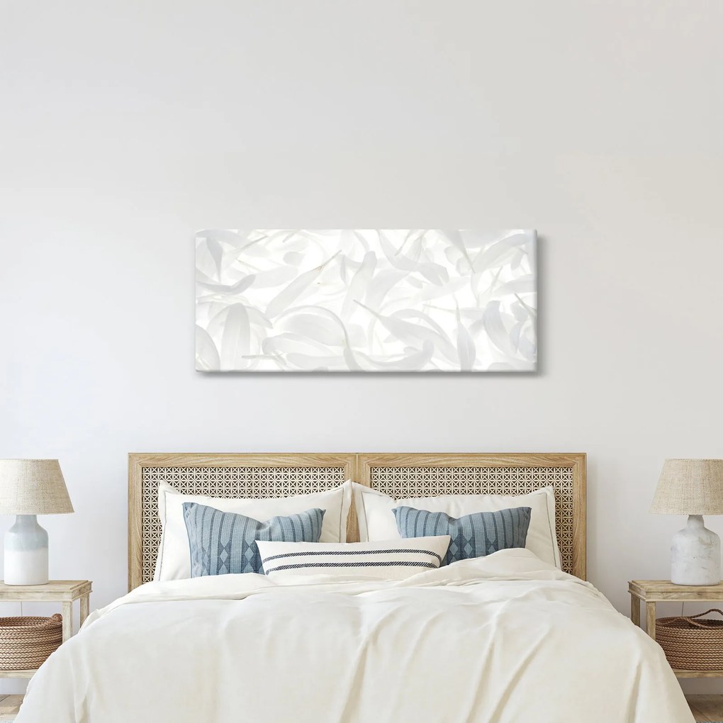 Obraz - Okvetné lístky (120x50 cm)