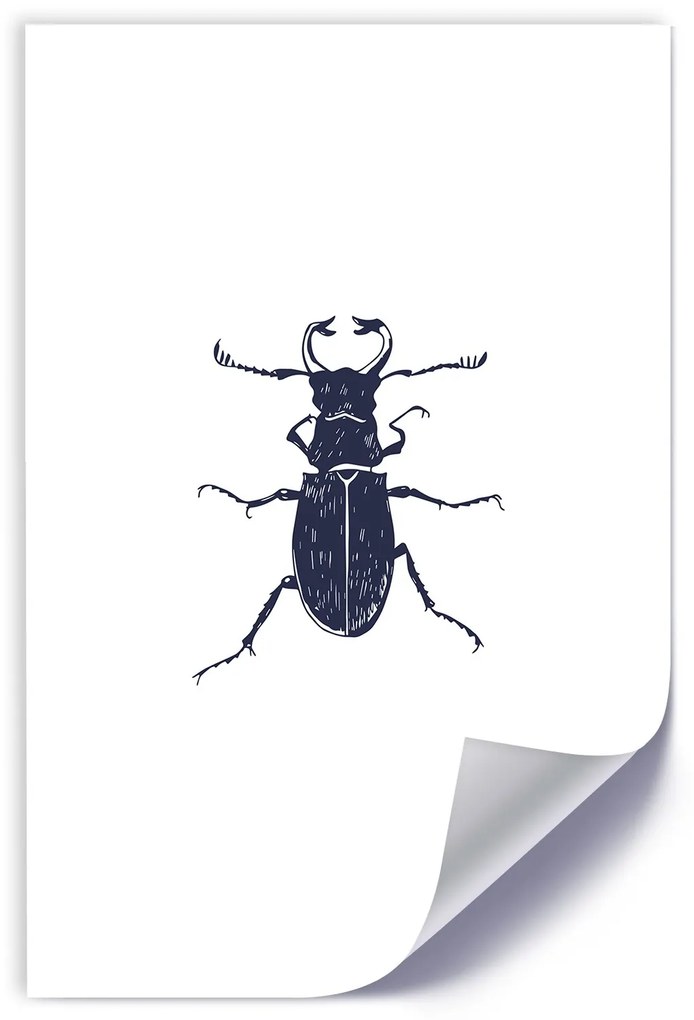 Gario Plagát Čierny chrobák Farba rámu: Bez rámu, Rozmery: 30 x 45 cm