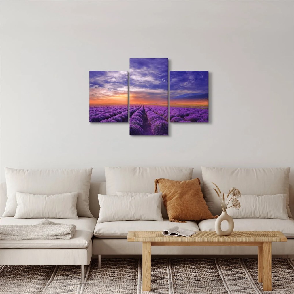 Obraz levanduľového pole (90x60 cm)