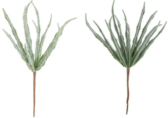 Dekorácie 2ks kvetina Haworthia - 28 cm