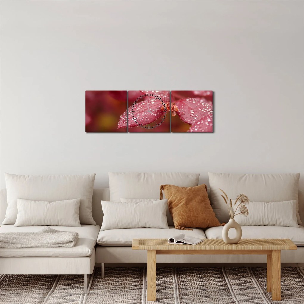 Obraz - Makro snímka lístka (s hodinami) (90x30 cm)