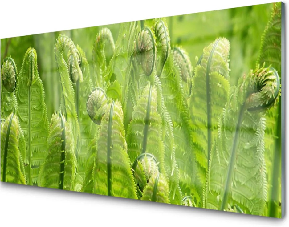 Obraz plexi Sklenený Rastlina Príroda
