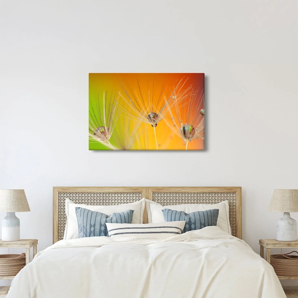 Obraz kvapiek na rastline (90x60 cm)