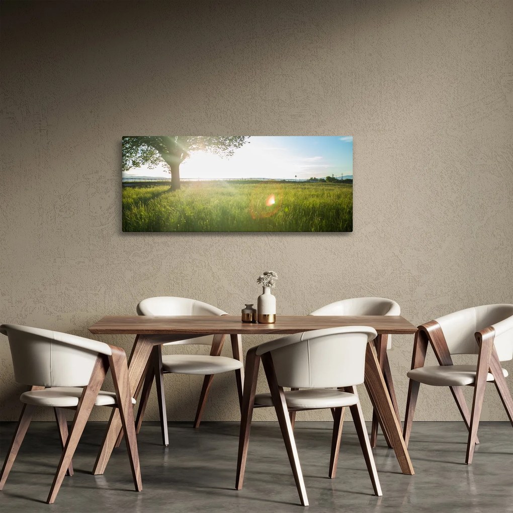 Obraz stromu v poli (120x50 cm)